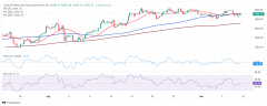 20SMA100SMA2505Ԫ/