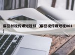 麻豆村视传媒短视频（麻豆视传媒短视001）