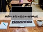 天美mv麻花mv星空mv的简单介绍