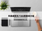 天美麻花九一mv的简单介绍