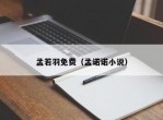 孟若羽免费（孟诺诺小说）